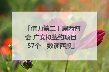 借力第二十届西博会 广安拟签约项目57个｜数读西投