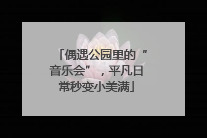 偶遇公园里的“音乐会”，平凡日常秒变小美满