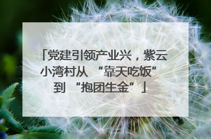 党建引领产业兴，紫云小湾村从 “靠天吃饭” 到 “抱团生金”