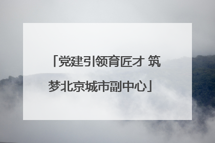 党建引领育匠才 筑梦北京城市副中心