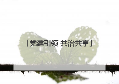 党建引领 共治共享