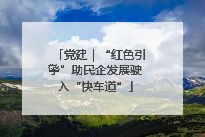 党建｜“红色引擎”助民企发展驶入“快车道”