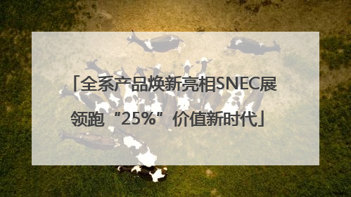 全系产品焕新亮相SNEC展 领跑“25%”价值新时代