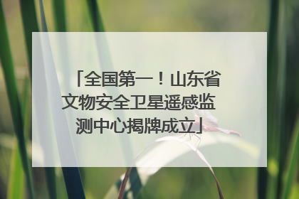 全国第一！山东省文物安全卫星遥感监测中心揭牌成立
