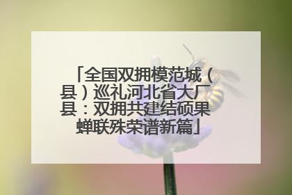 全国双拥模范城（县）巡礼河北省大厂县：双拥共建结硕果 蝉联殊荣谱新篇