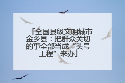 全国县级文明城市金乡县：把群众关切的事全部当成“头号工程”来办