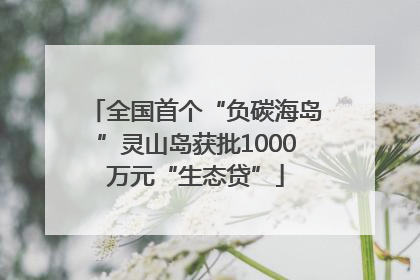 全国首个“负碳海岛”灵山岛获批1000万元“生态贷”