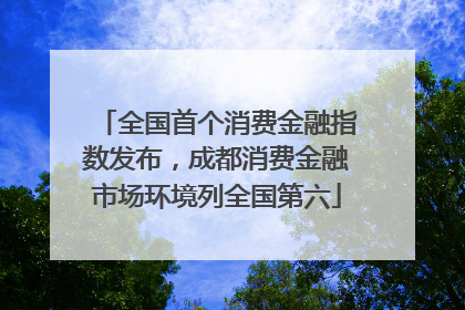 全国首个消费金融指数发布，成都消费金融市场环境列全国第六