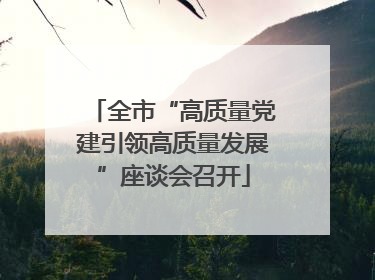 全市“高质量党建引领高质量发展”座谈会召开