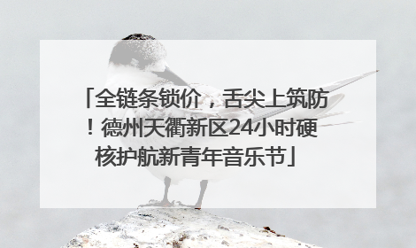 全链条锁价，舌尖上筑防！德州天衢新区24小时硬核护航新青年音乐节