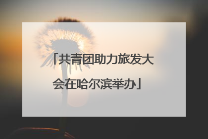 共青团助力旅发大会在哈尔滨举办