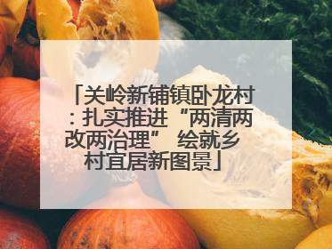 关岭新铺镇卧龙村：扎实推进“两清两改两治理” 绘就乡村宜居新图景