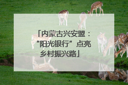 内蒙古兴安盟：“阳光银行”点亮乡村振兴路