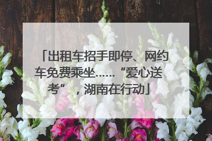 出租车招手即停、网约车免费乘坐……“爱心送考”，湖南在行动