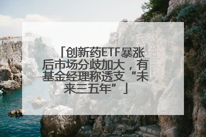 创新药ETF暴涨后市场分歧加大，有基金经理称透支“未来三五年”