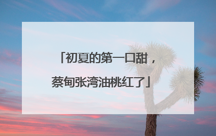 初夏的第一口甜，蔡甸张湾油桃红了