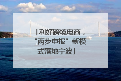 利好跨境电商，“两步申报”新模式落地宁波