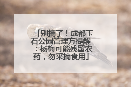 别摘了！成都玉石公园管理方提醒：杨梅可能残留农药，勿采摘食用