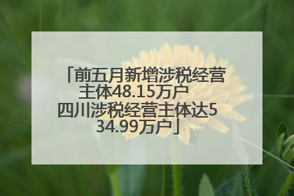 前五月新增涉税经营主体48.15万户 四川涉税经营主体达534.99万户