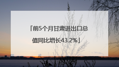 前5个月甘肃进出口总值同比增长43.2%