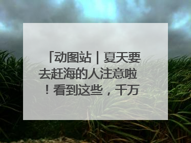 动图站｜夏天要去赶海的人注意啦！看到这些，千万别伸手！