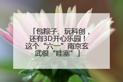 包粽子、玩科创，还有3D开心乐园！这个“六一”南京玄武很“哇塞”