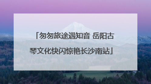 匆匆旅途遇知音 岳阳古琴文化快闪惊艳长沙南站