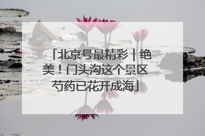 北京号最精彩｜绝美！门头沟这个景区芍药已花开成海