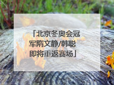 北京冬奥会冠军隋文静/韩聪即将重返赛场