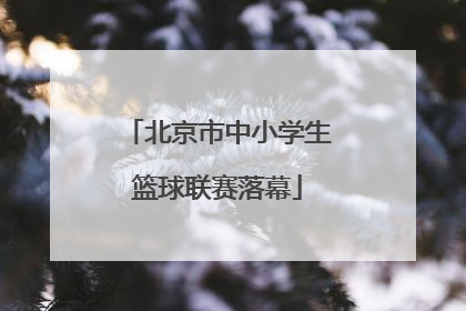 北京市中小学生篮球联赛落幕