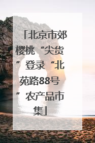 北京市郊樱桃“尖货”登录“北苑路88号”农产品市集
