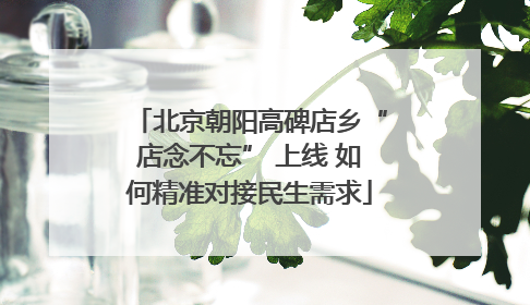 北京朝阳高碑店乡“店念不忘” 上线 如何精准对接民生需求