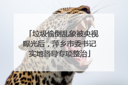 垃圾偷倒乱象被央视曝光后，萍乡市委书记实地督导专项整治