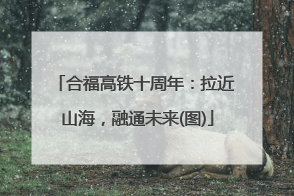 合福高铁十周年：拉近山海，融通未来(图)