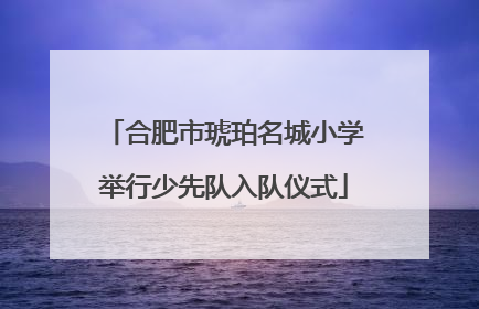 合肥市琥珀名城小学举行少先队入队仪式