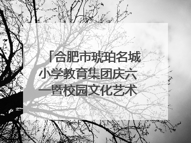合肥市琥珀名城小学教育集团庆六一暨校园文化艺术节闭幕式文艺汇演圆满举行