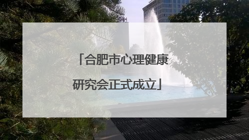 合肥市心理健康研究会正式成立