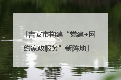 吉安市构建“党建+网约家政服务”新阵地