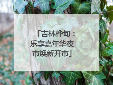 吉林桦甸：乐享嘉年华夜市焕新开市