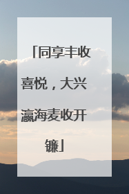 同享丰收喜悦，大兴瀛海麦收开镰