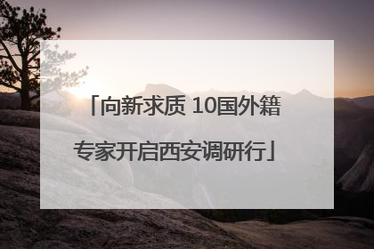 向新求质 10国外籍专家开启西安调研行