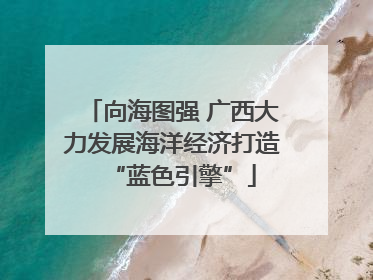 向海图强 广西大力发展海洋经济打造“蓝色引擎”