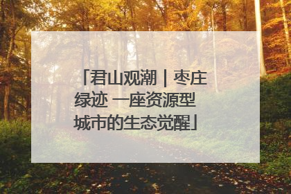 君山观潮｜枣庄绿迹 一座资源型城市的生态觉醒