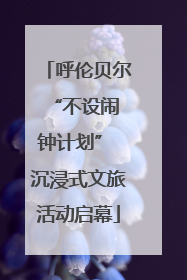 呼伦贝尔 “不设闹钟计划” 沉浸式文旅活动启幕