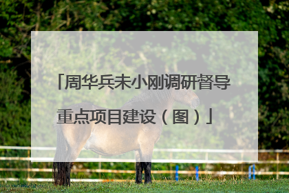 周华兵未小刚调研督导重点项目建设（图）
