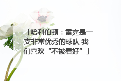 哈利伯顿：雷霆是一支非常优秀的球队 我们喜欢“不被看好”
