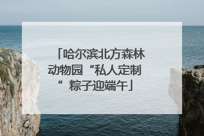 哈尔滨北方森林动物园“私人定制”粽子迎端午