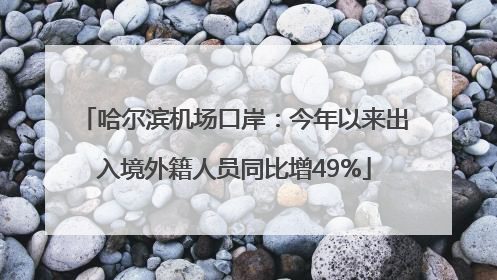 哈尔滨机场口岸：今年以来出入境外籍人员同比增49%