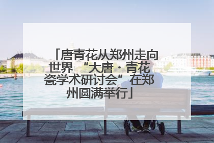唐青花从郑州走向世界 “大唐・青花瓷学术研讨会”在郑州圆满举行