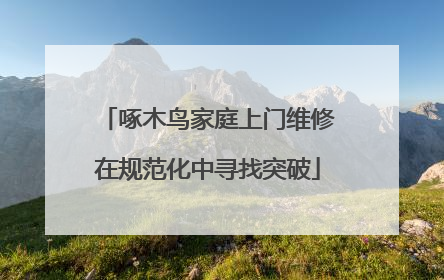 啄木鸟家庭上门维修在规范化中寻找突破